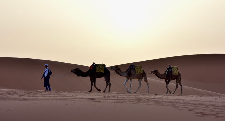 merzouga woestijn marokko winter groepsreis mei 2022 105 kopie